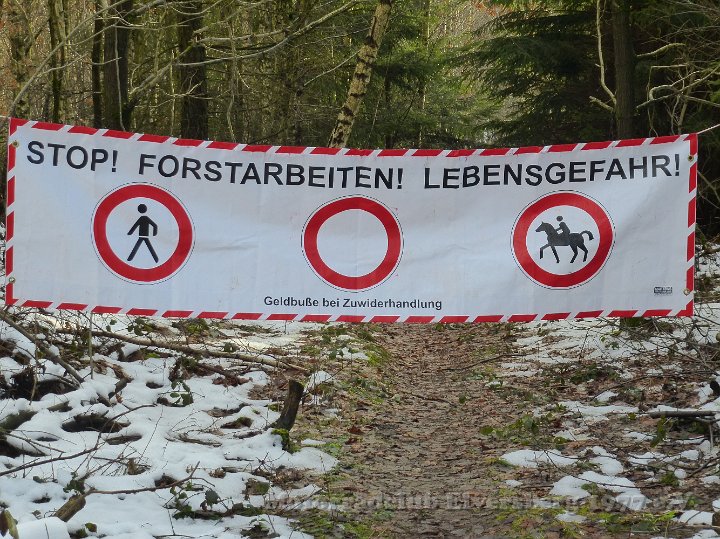 Wandertag 2015 - 007.jpg